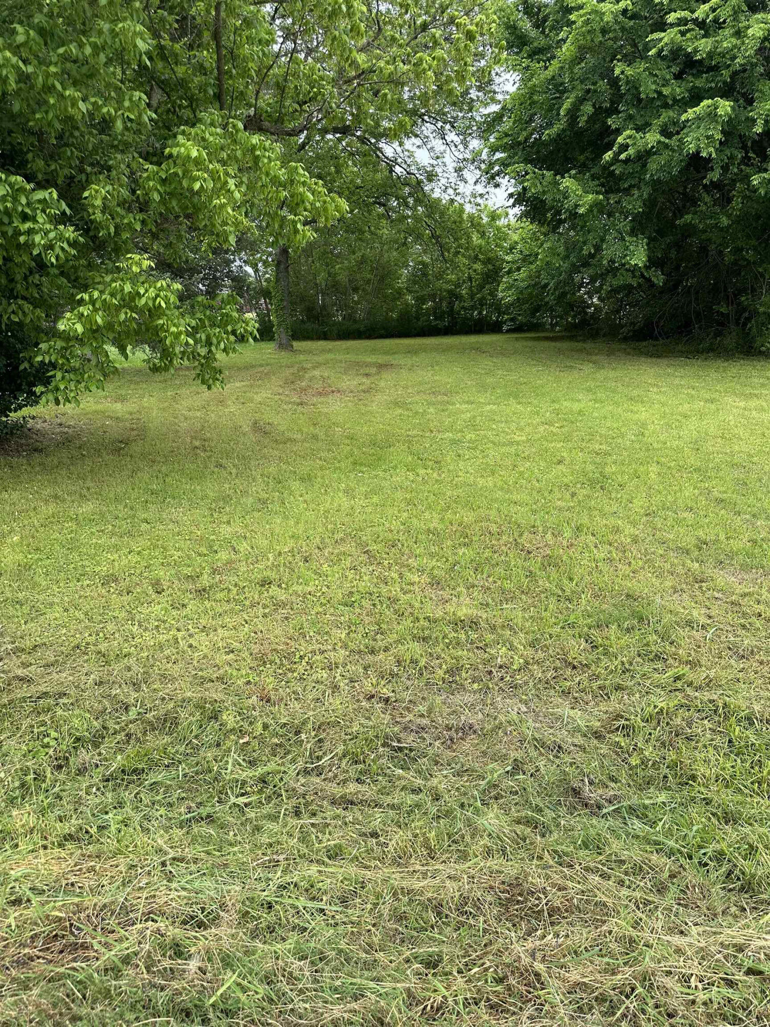 Property Photo:  518 S Washington Avenue  TN 38012 