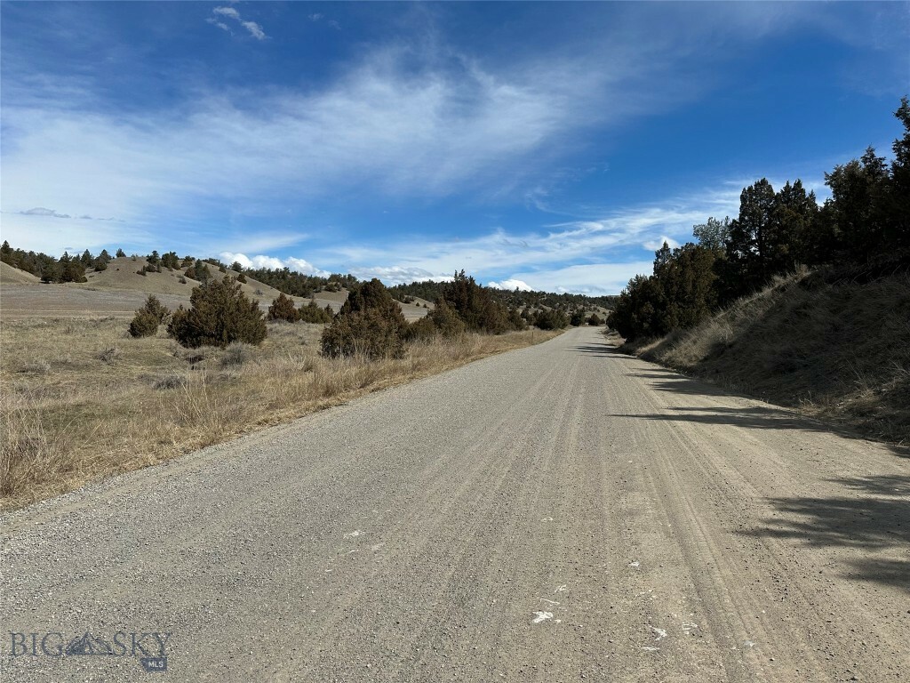 Property Photo:  18295 Pioneer Road 393  MT 59752 