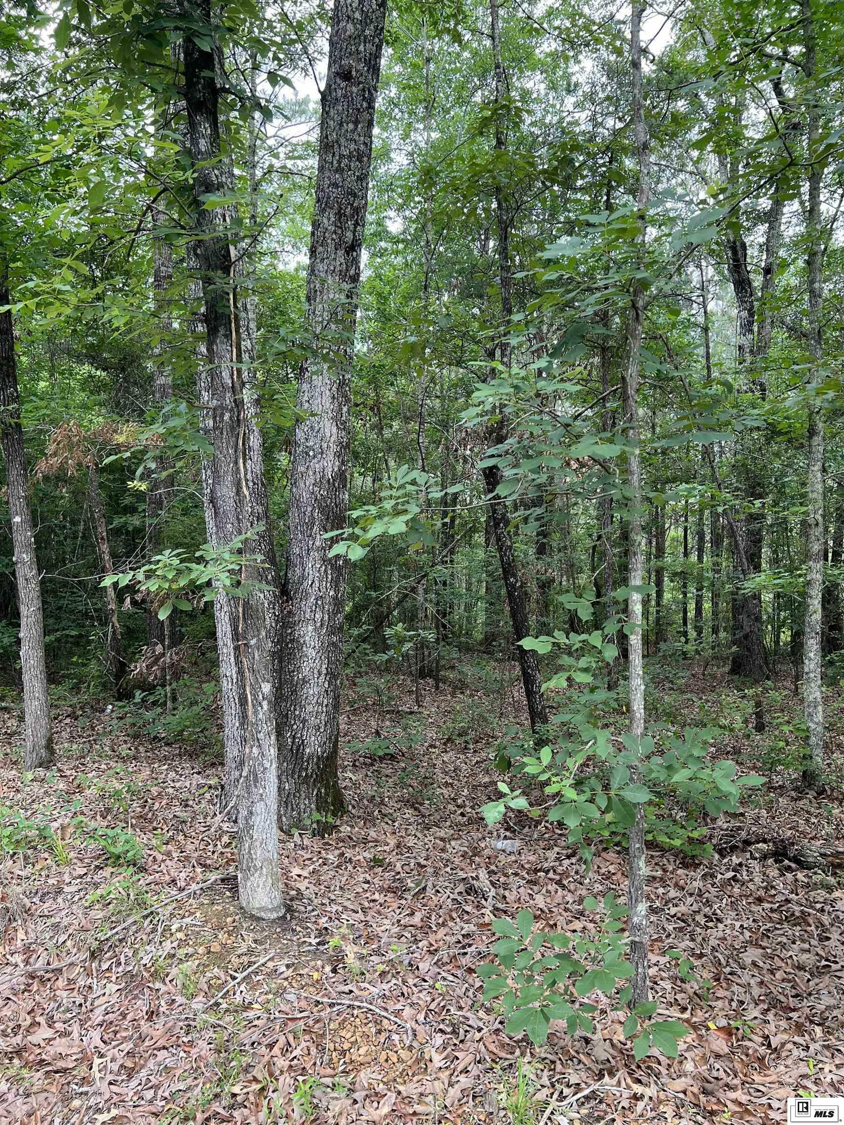 Property Photo: 000 Cut Thru Road LA 71435