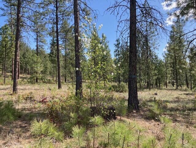 Property Photo: 1178 Fumi Cir WA 99141