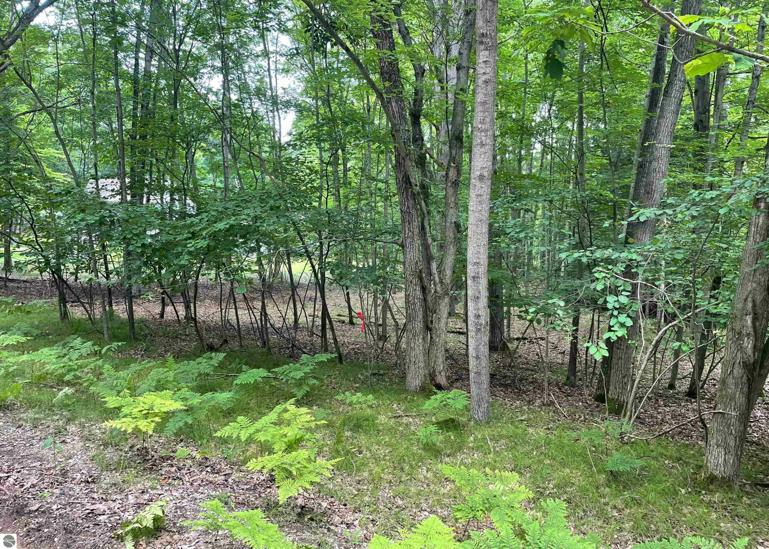 Property Photo: 791 Elkhorn Way MI 48622