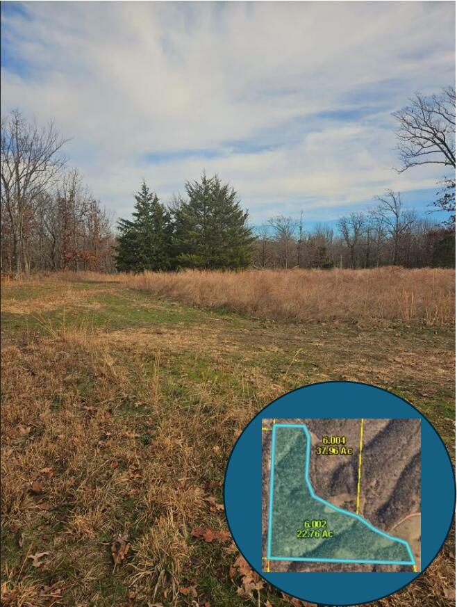 Property Photo:  22.76 Acre Styles Road  MO 64854 