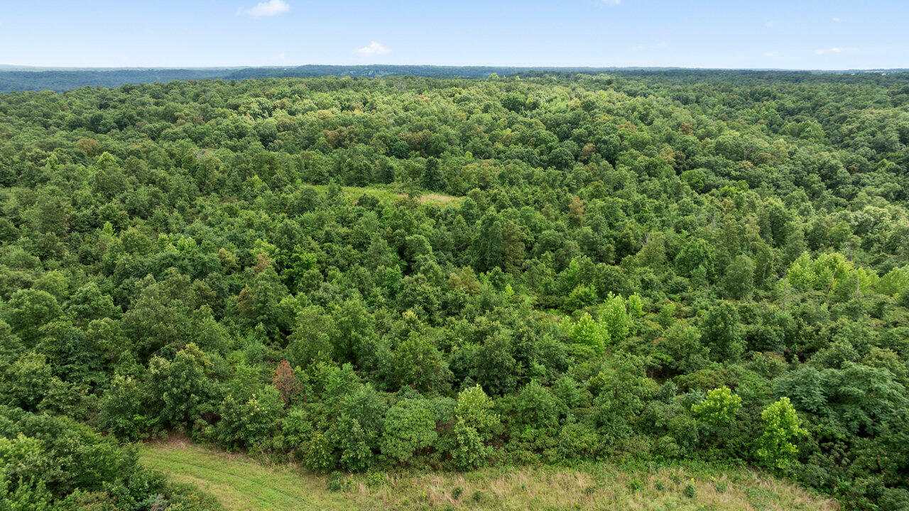 Property Photo:  22.76 Acre Styles Road  MO 64854 