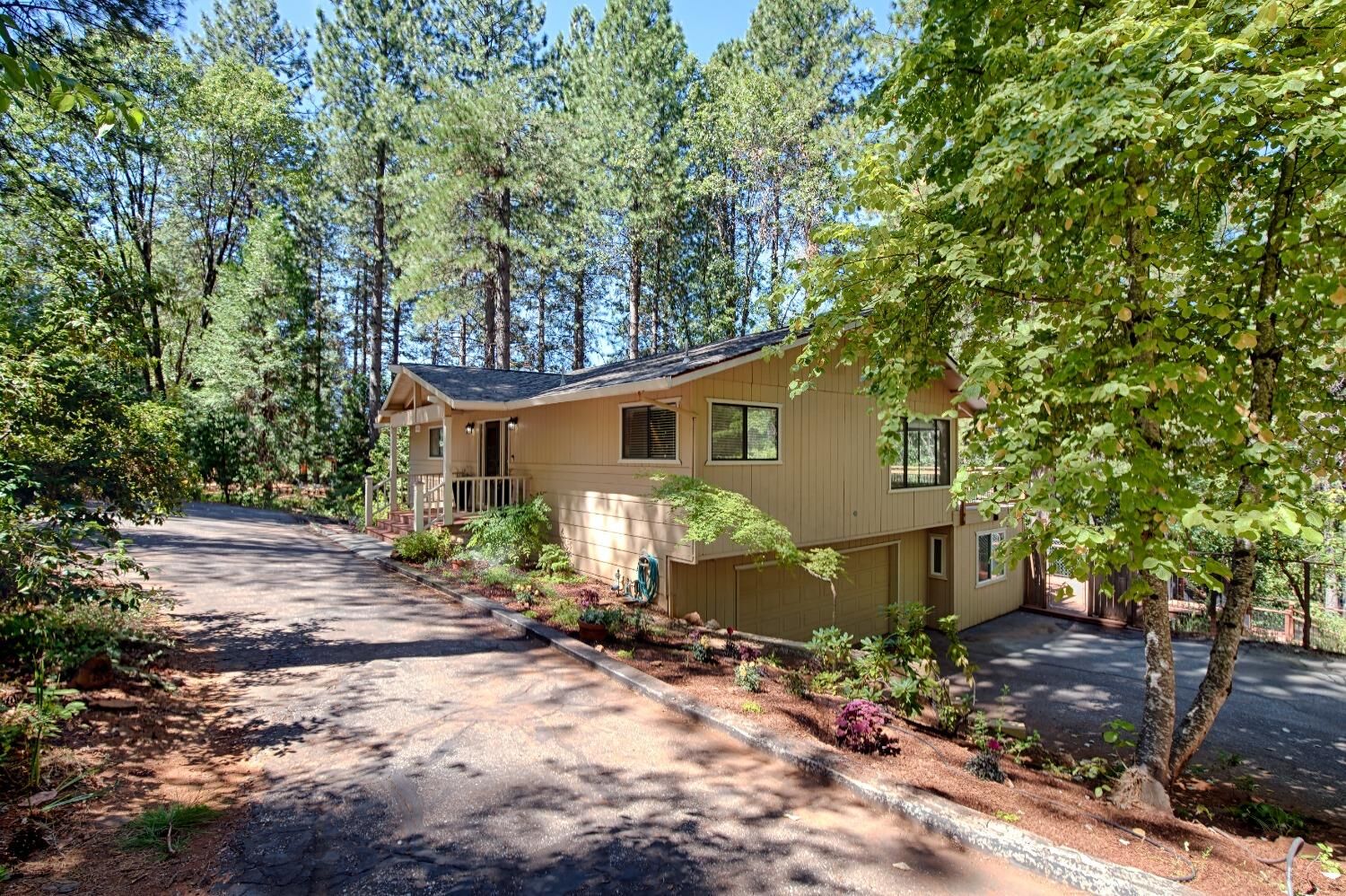 Property Photo: 11566 Forest View Drive CA 95959