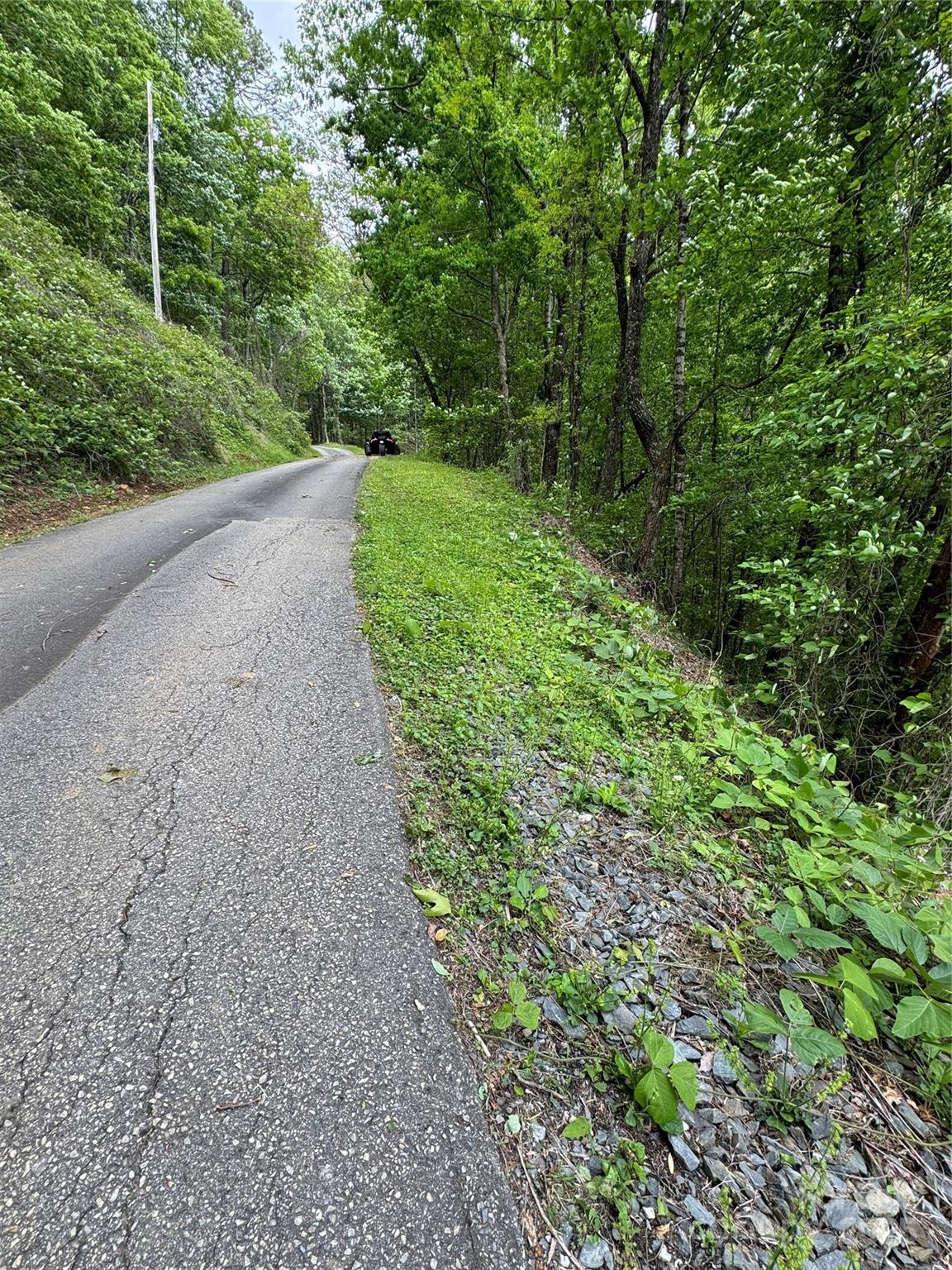 Property Photo:  0 Biltmore Circle 7  NC 28713 