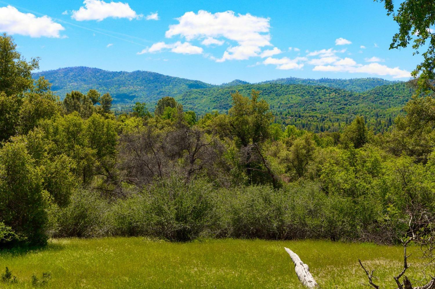 Property Photo:  0 19.6 Ac Road 425A  CA 93644 