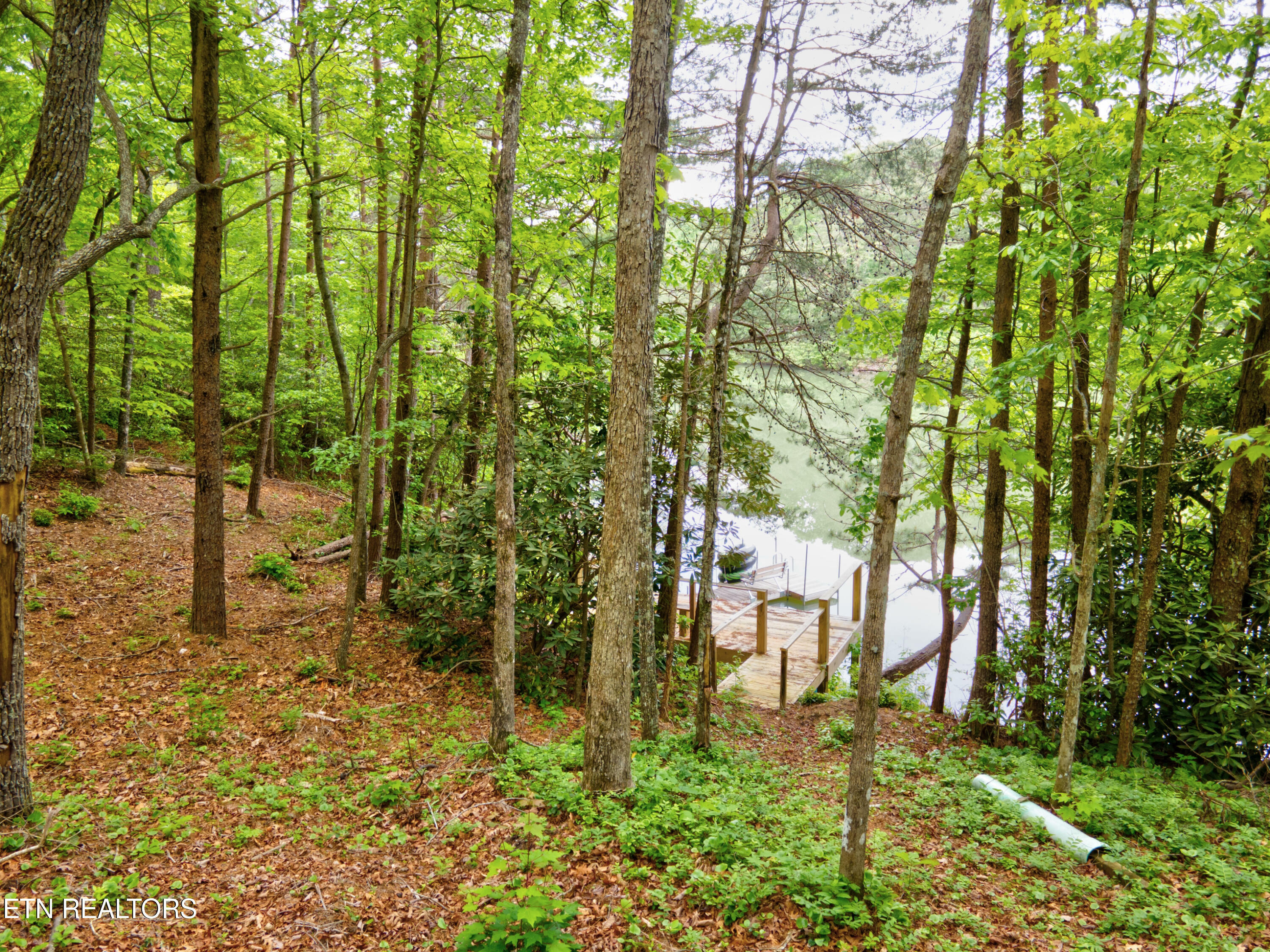 Property Photo:  6163 Sandy Stand Rd  TN 37878 