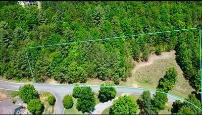 Lot 16 Summit Trace  Blairsville GA 30512 photo