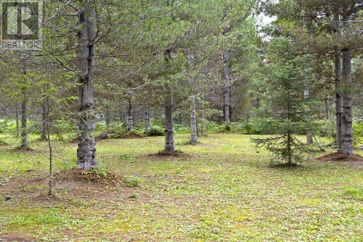 Property Photo:  Lot 12 McCormack Road  BC V0G 1E0 