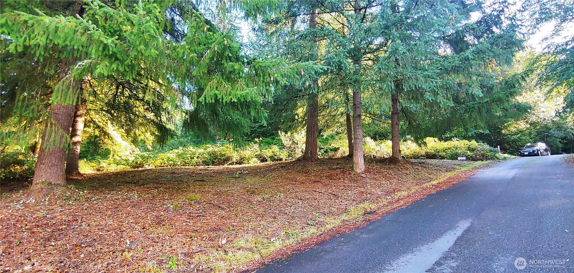 Property Photo: 0 Feather Ridge Drive WA 98625