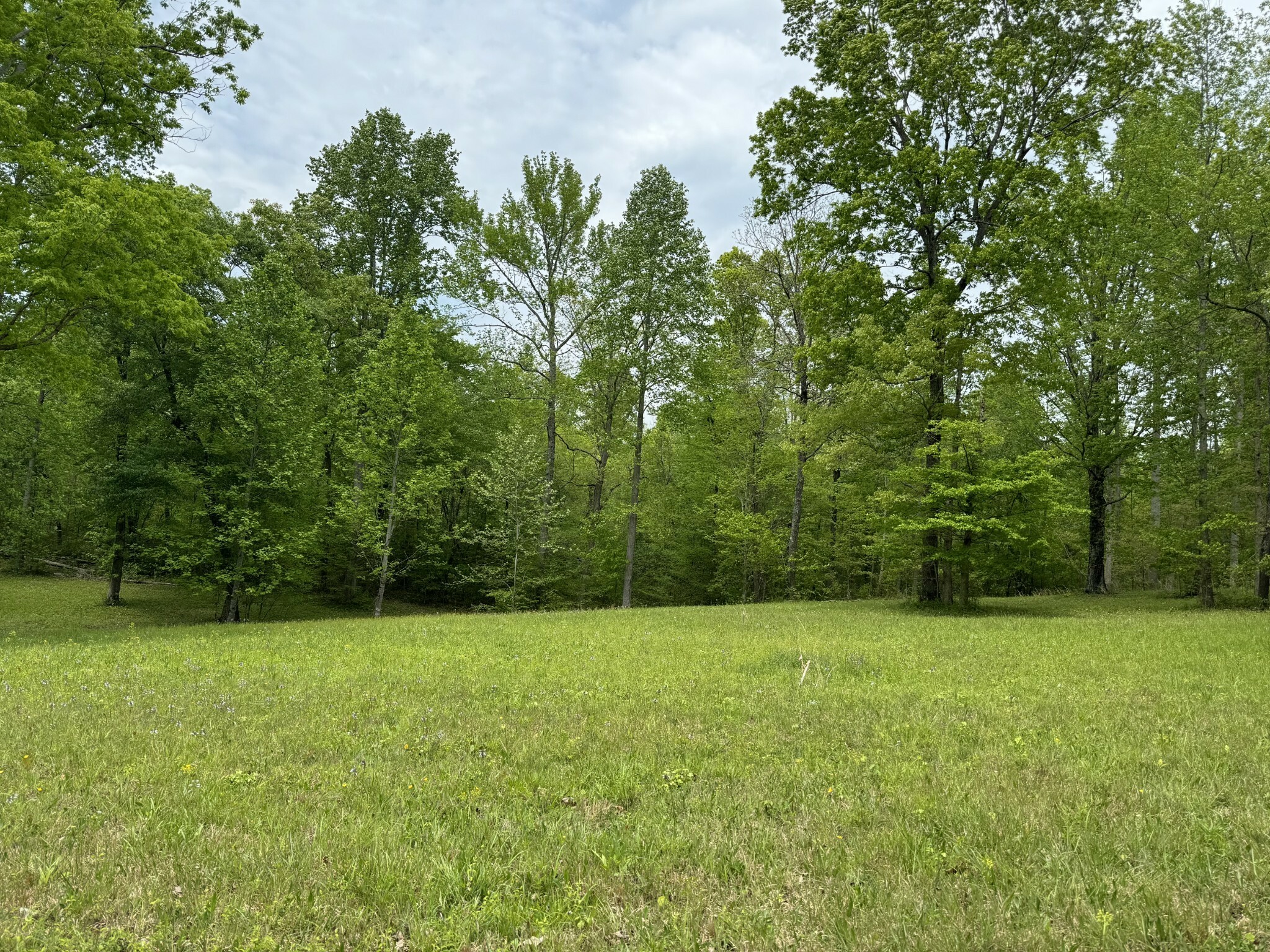 Property Photo:  0 Charleston Drive  TN 37098 