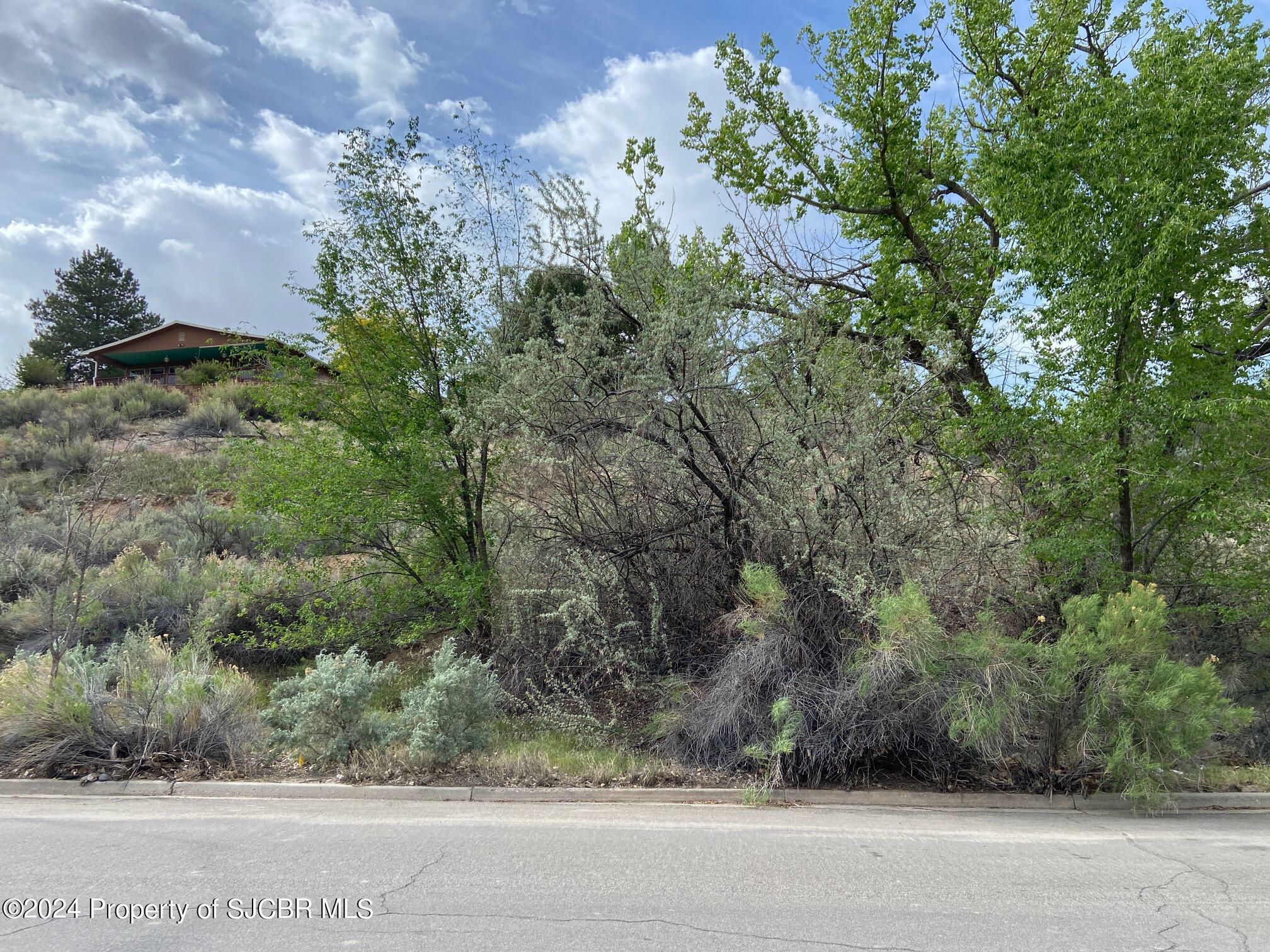 Property Photo:  Lot  4xx W 24th Street  NM 87401 