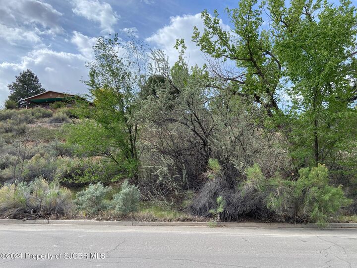Property Photo: Lot 4 Xx W 24th Street NM 87401