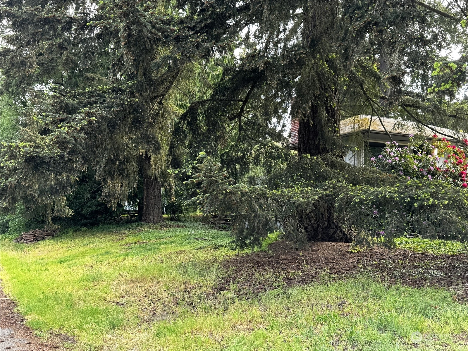 Property Photo:  1454 N 143rd Street  WA 98133 