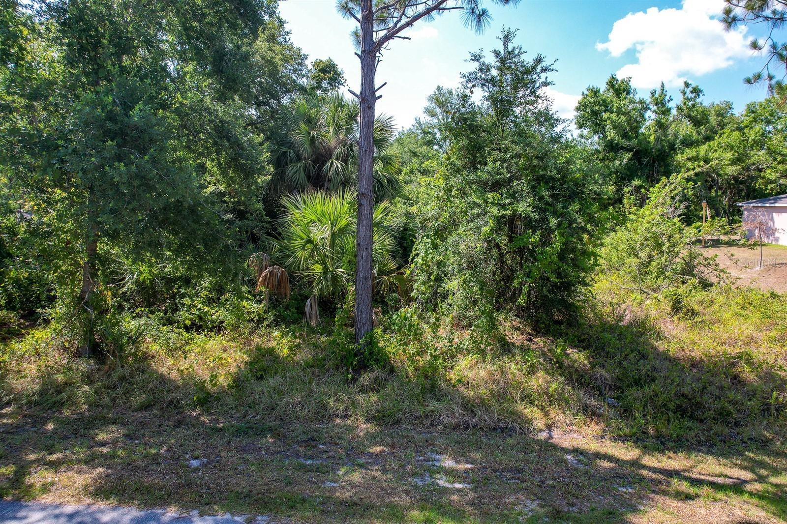 Property Photo: 13337 Johannes Avenue FL 33953