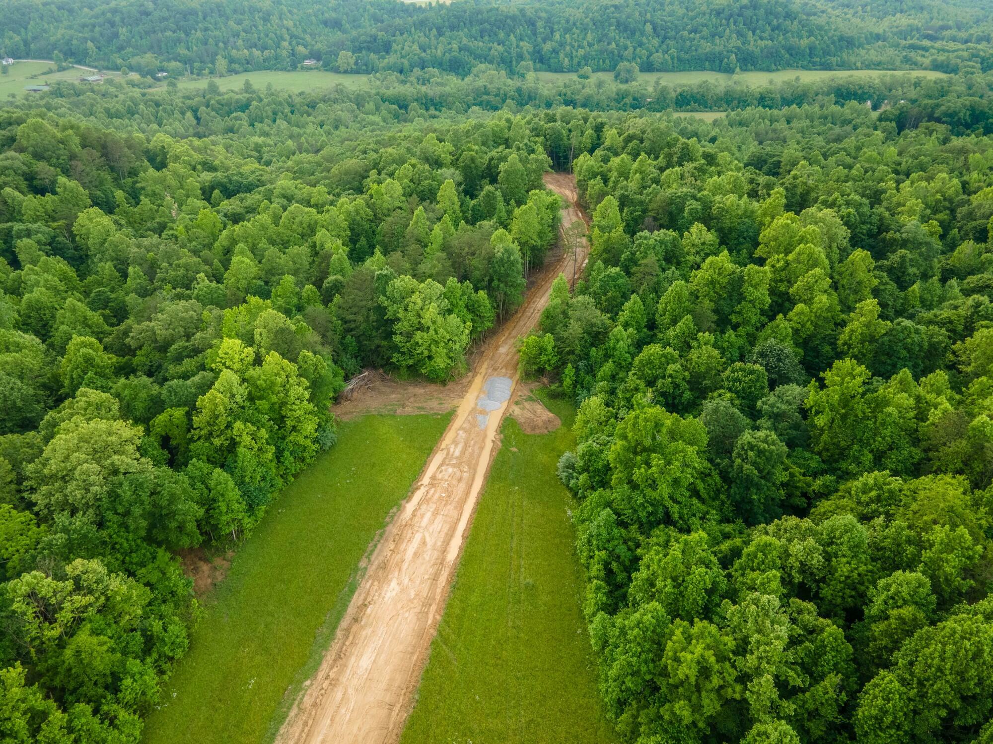 Property Photo:  Lot 137 Mt Morgan Road  KY 40769 