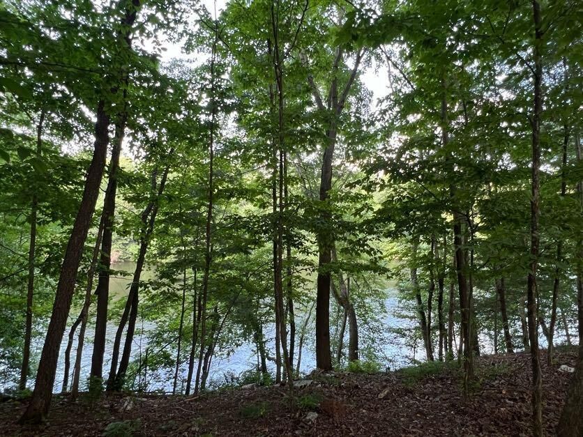 Property Photo:  Lots 9 And 10 538th  WI 54751 