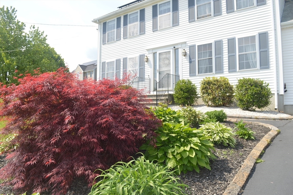 Property Photo: 6 Fleuette Dr MA 02019