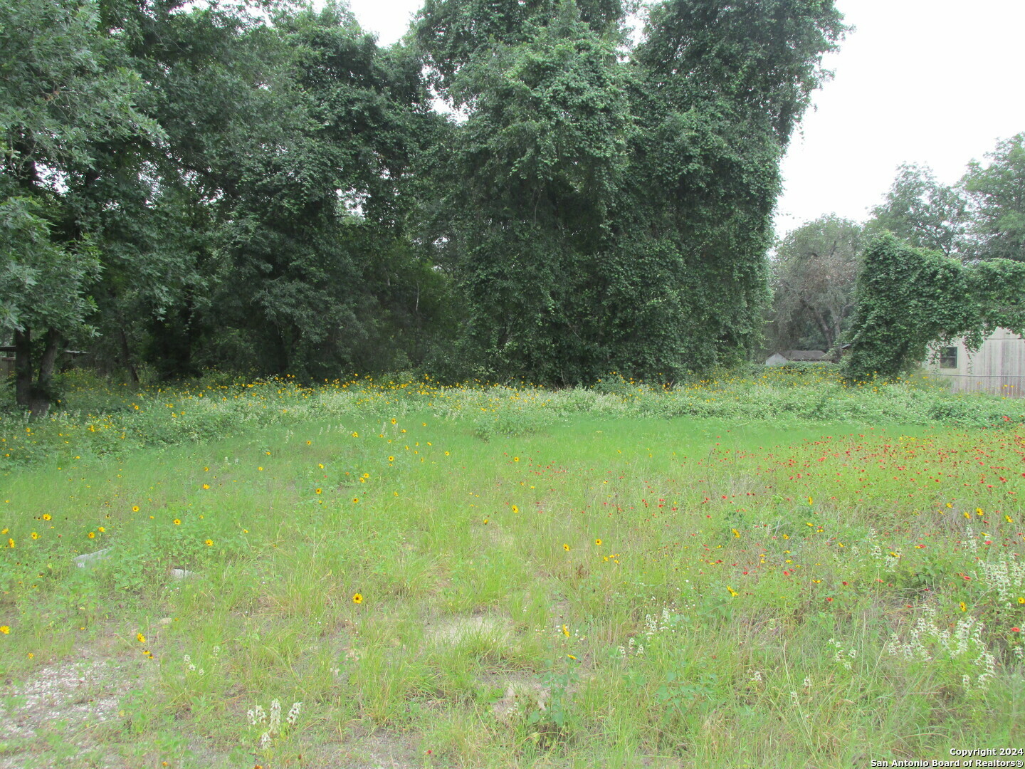 Property Photo:  23319 Dragon Rock Rd  TX 78112 