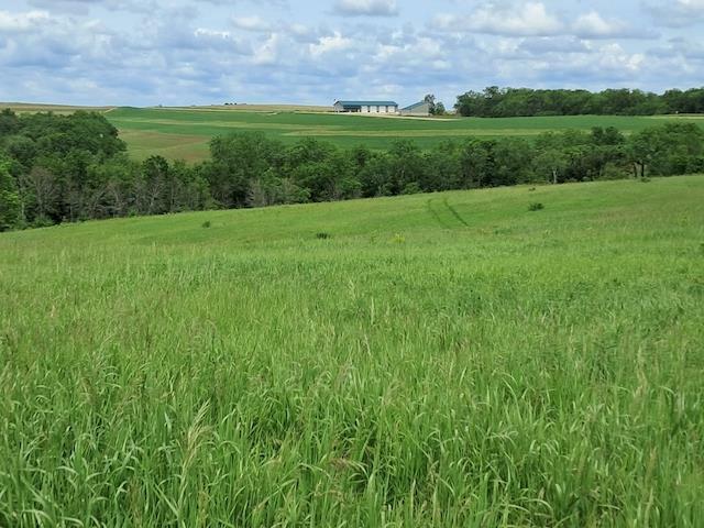 30 Acres McKenna Road  Hollandale WI 53544 photo