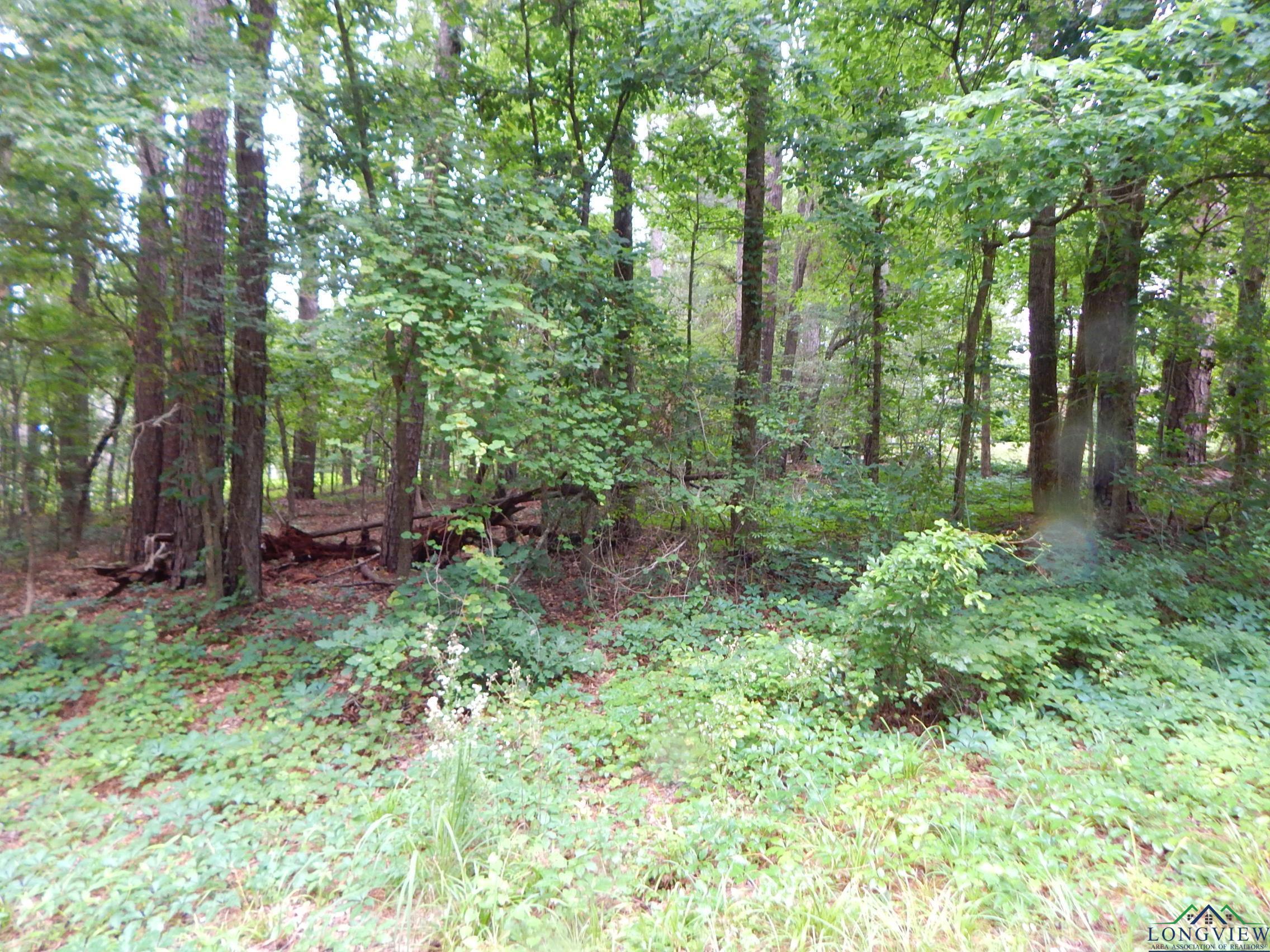 Property Photo:  Tbd Quiet Oak Lot 197, Block Ph4 Glenwood Acres S175 (A225)  TX 75644 