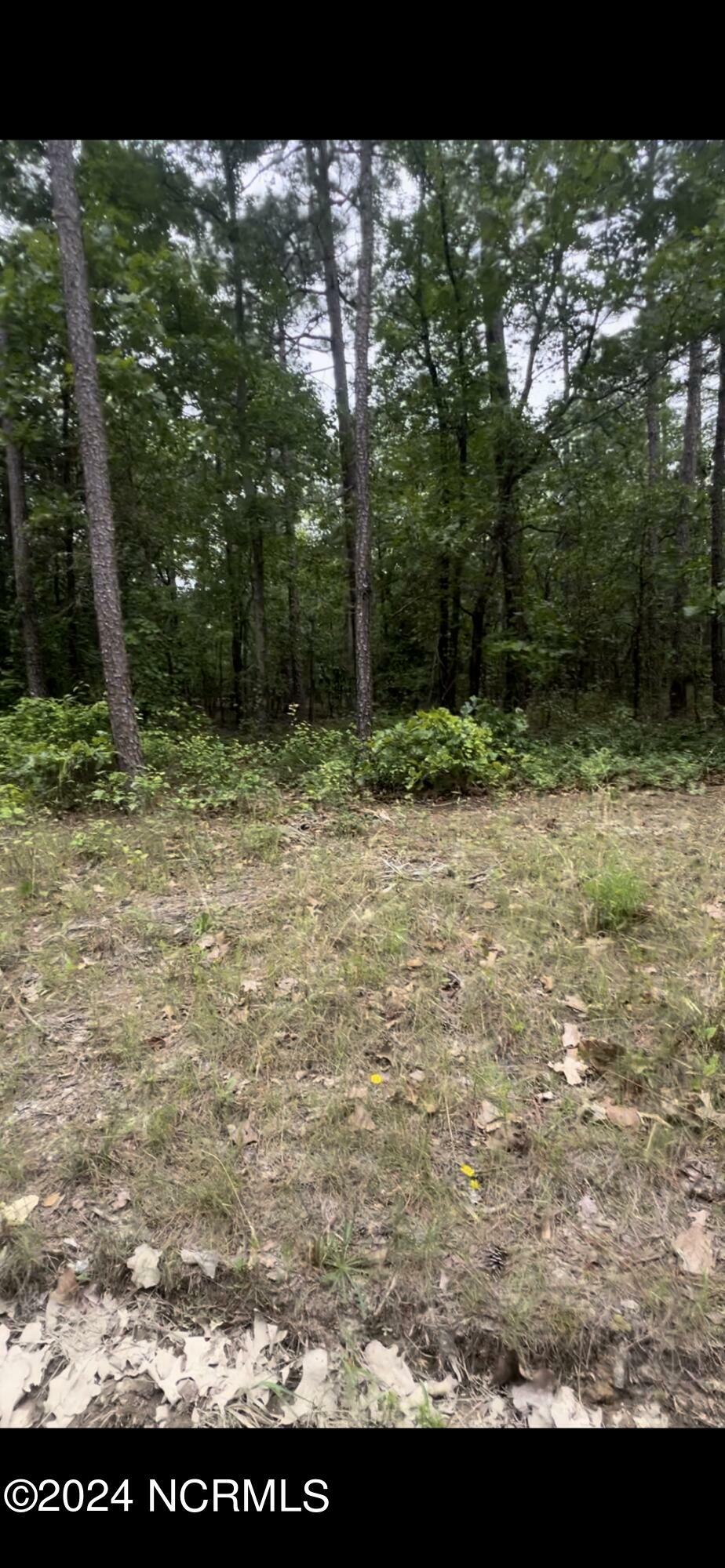 Property Photo:  Lot 23 Cedar Lane  NC 27242 