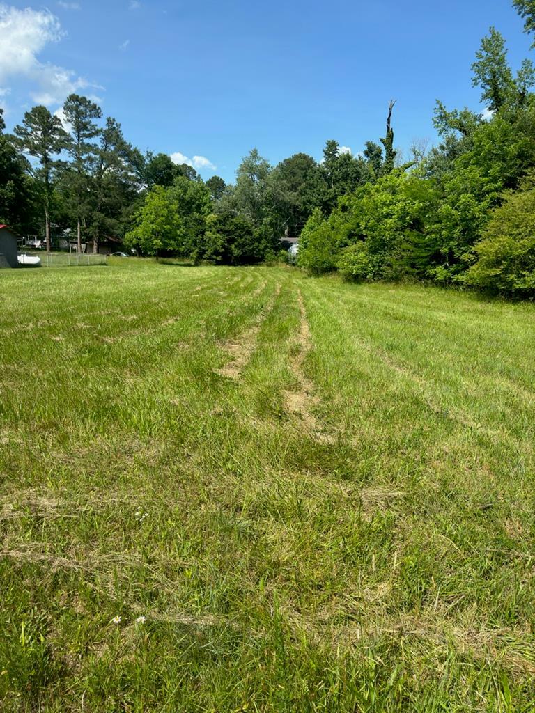 Property Photo:  Lot 5/6 Main Street  VA 23974 