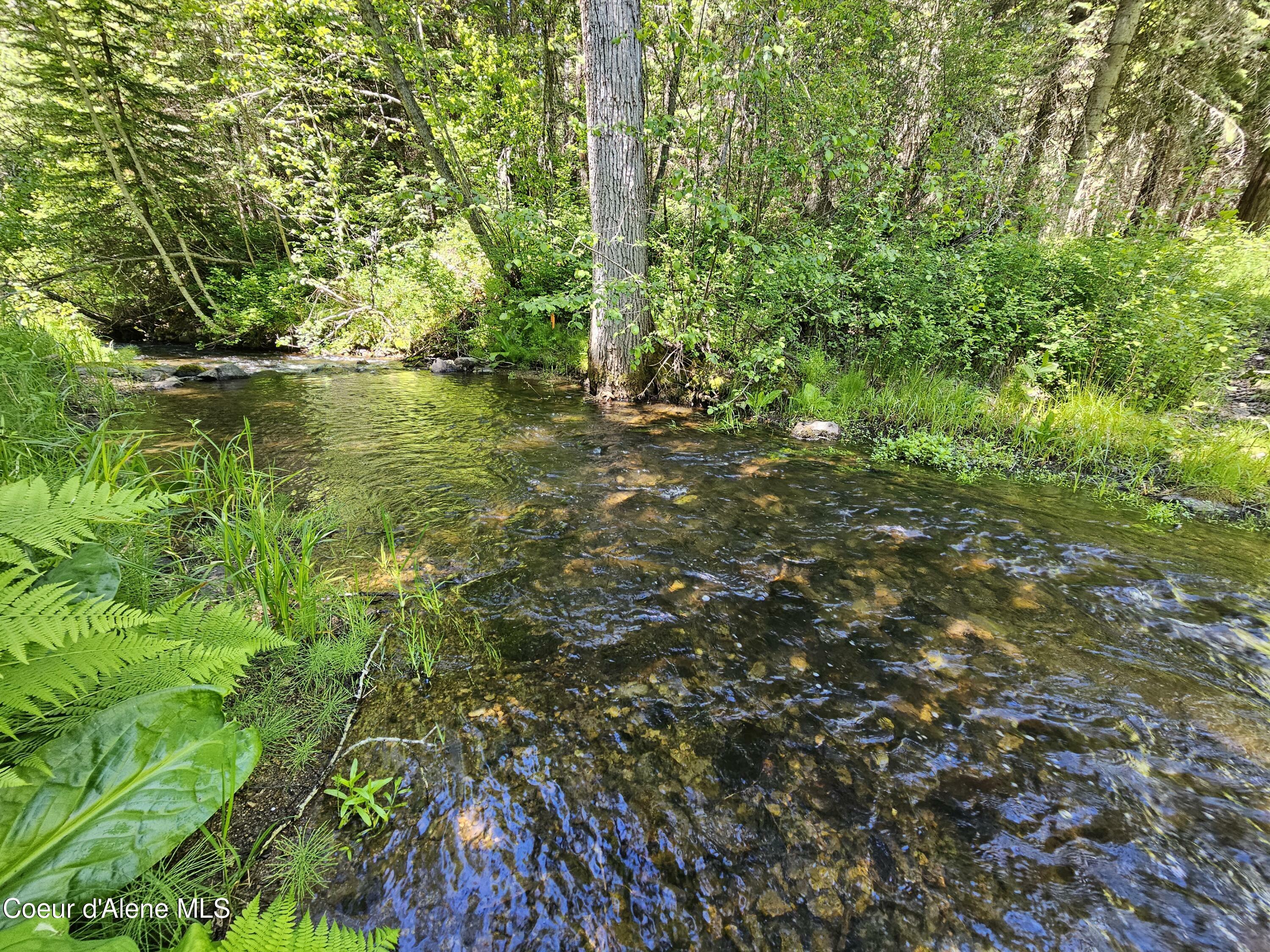 Property Photo:  Nka Raven Lane  ID 83809 