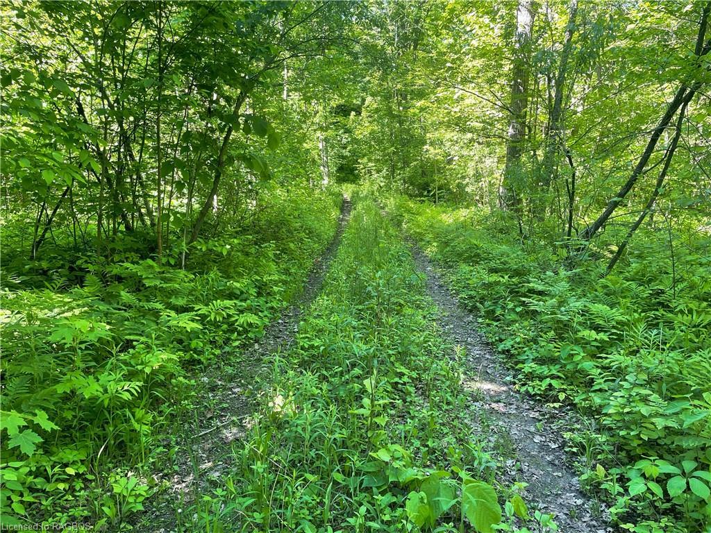 Photo de la propriété:  Lt 27 Concession Road 10  ON N0G 1J0 