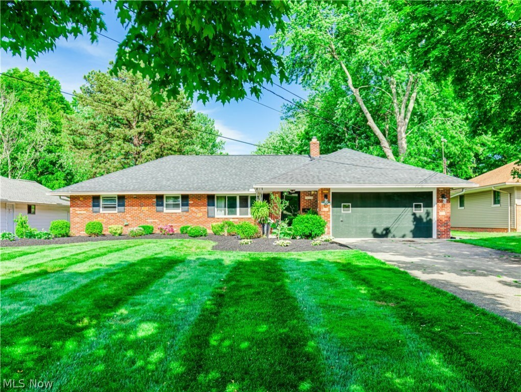 Property Photo: 497 Jeannette Drive OH 44143