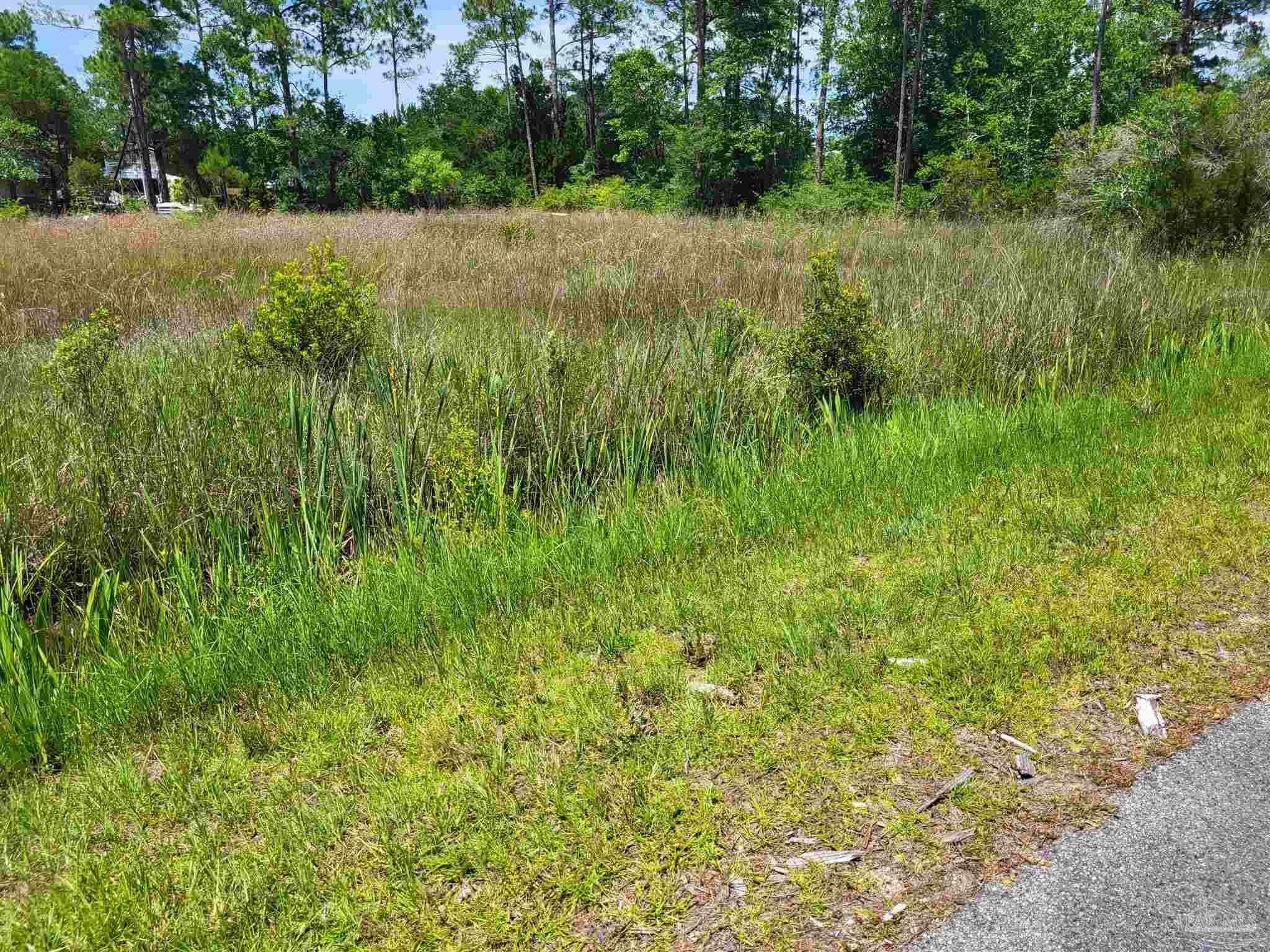 Property Photo:  0000 Glenview Rd  FL 32583 