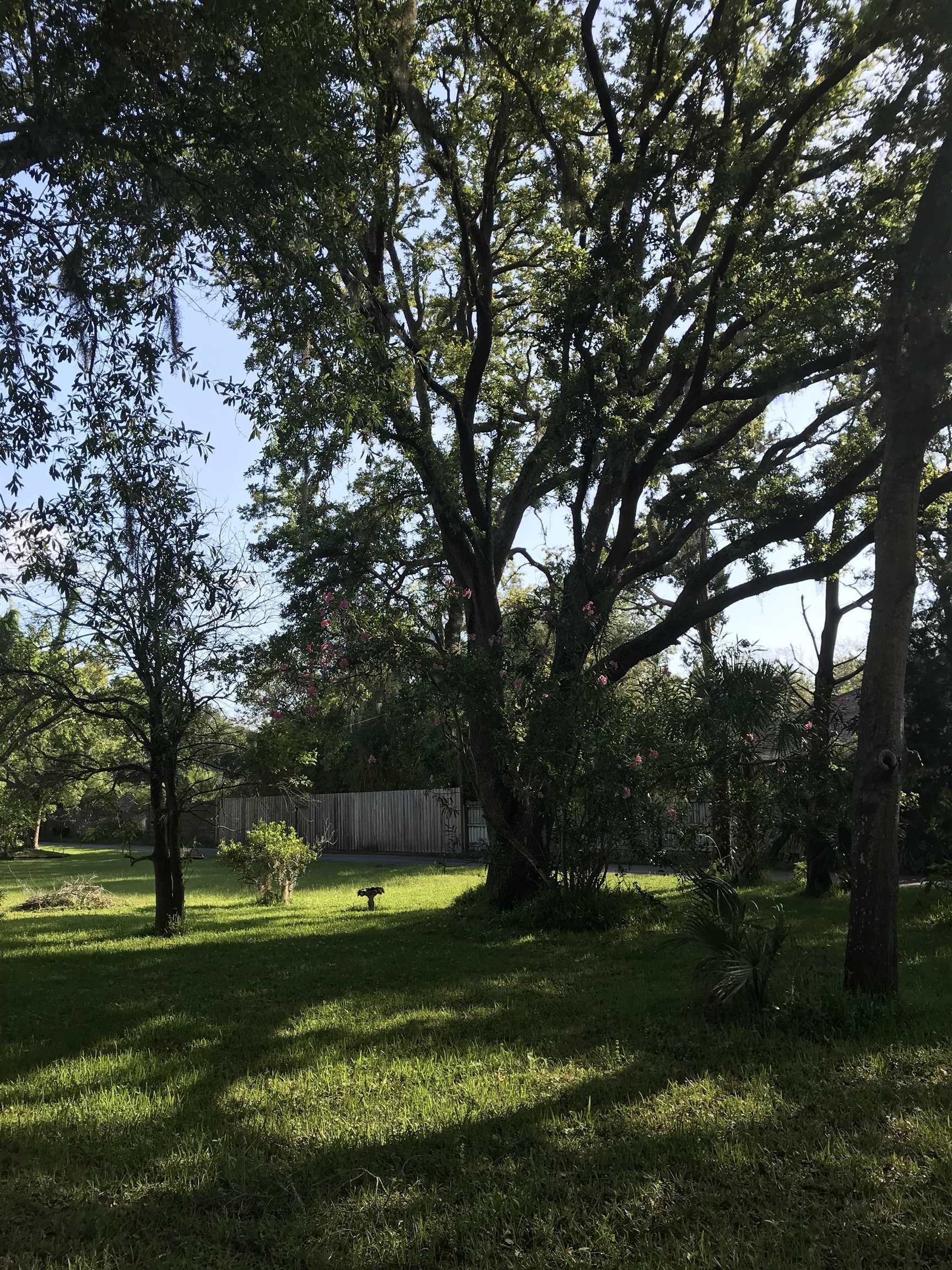 Property Photo:  Madrid St Lot 4  FL 32080 