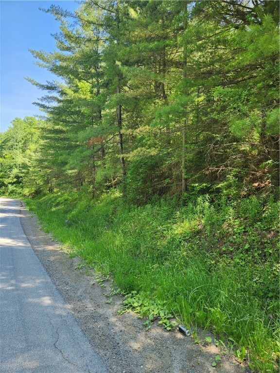 Property Photo:  0 Sand Pit Road  NY 14810 