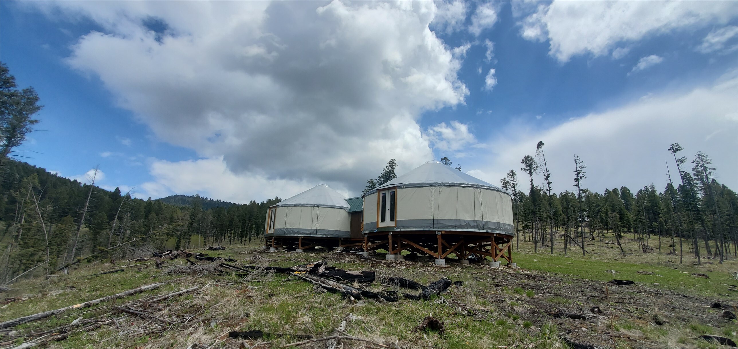 Property Photo:  Nhn Buckhorn Road  MT 59843 