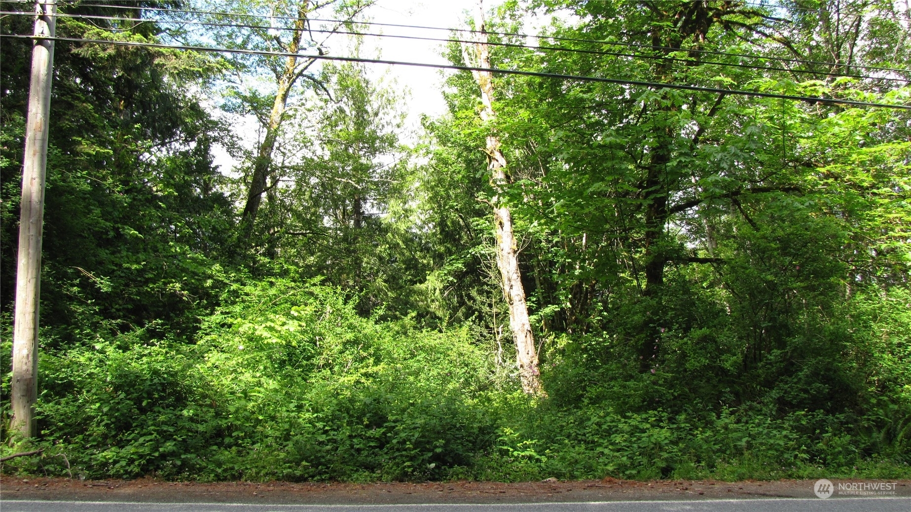 Property Photo:  3344 Anderson Hill Road SW  WA 98367 