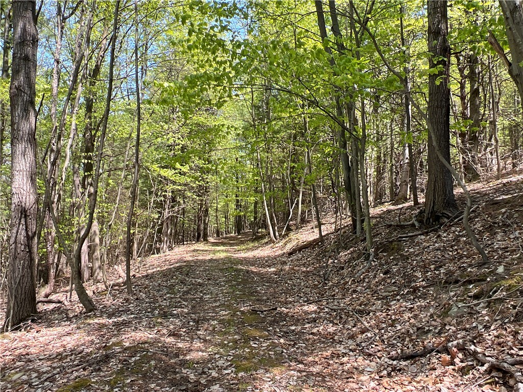 Property Photo:  Lot 17 State Route 415  NY 14826 