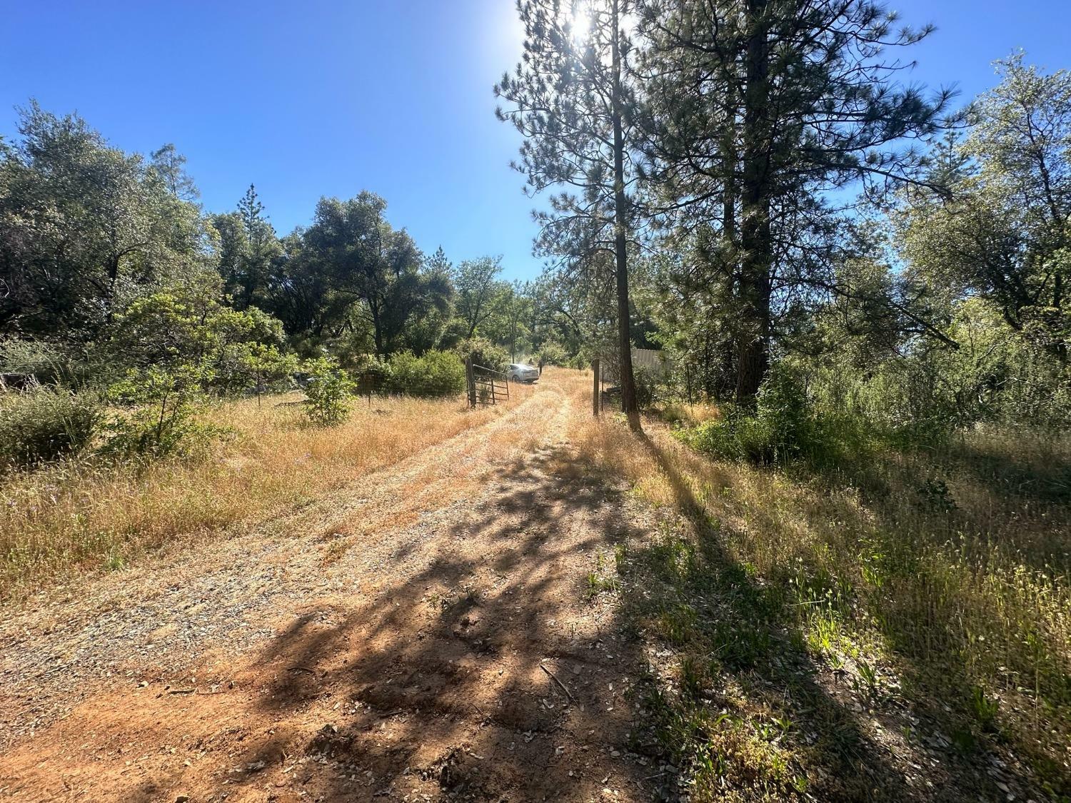 Property Photo:  12717 Armstrong Road  CA 95246 