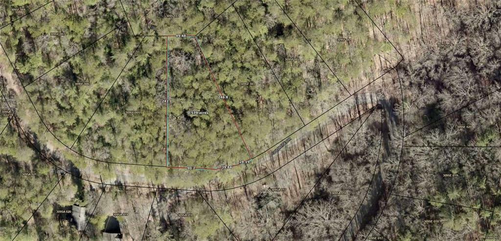 20 Goldmine Drive  Ellijay GA 30536 photo