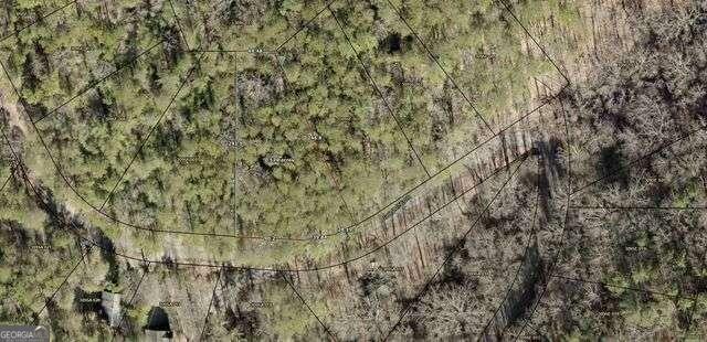 20 Goldmine Drive  Ellijay GA 30536 photo