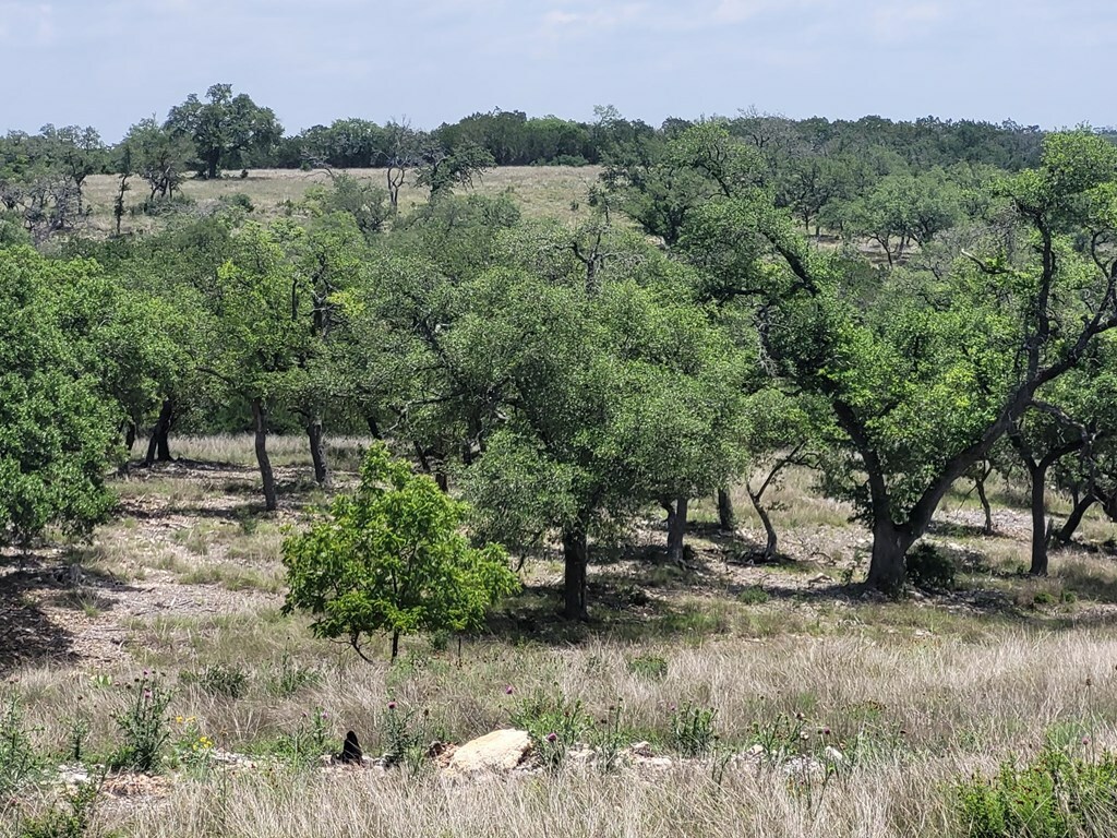 Property Photo:  0019 Mayers Ridge Dr  TX 78028 