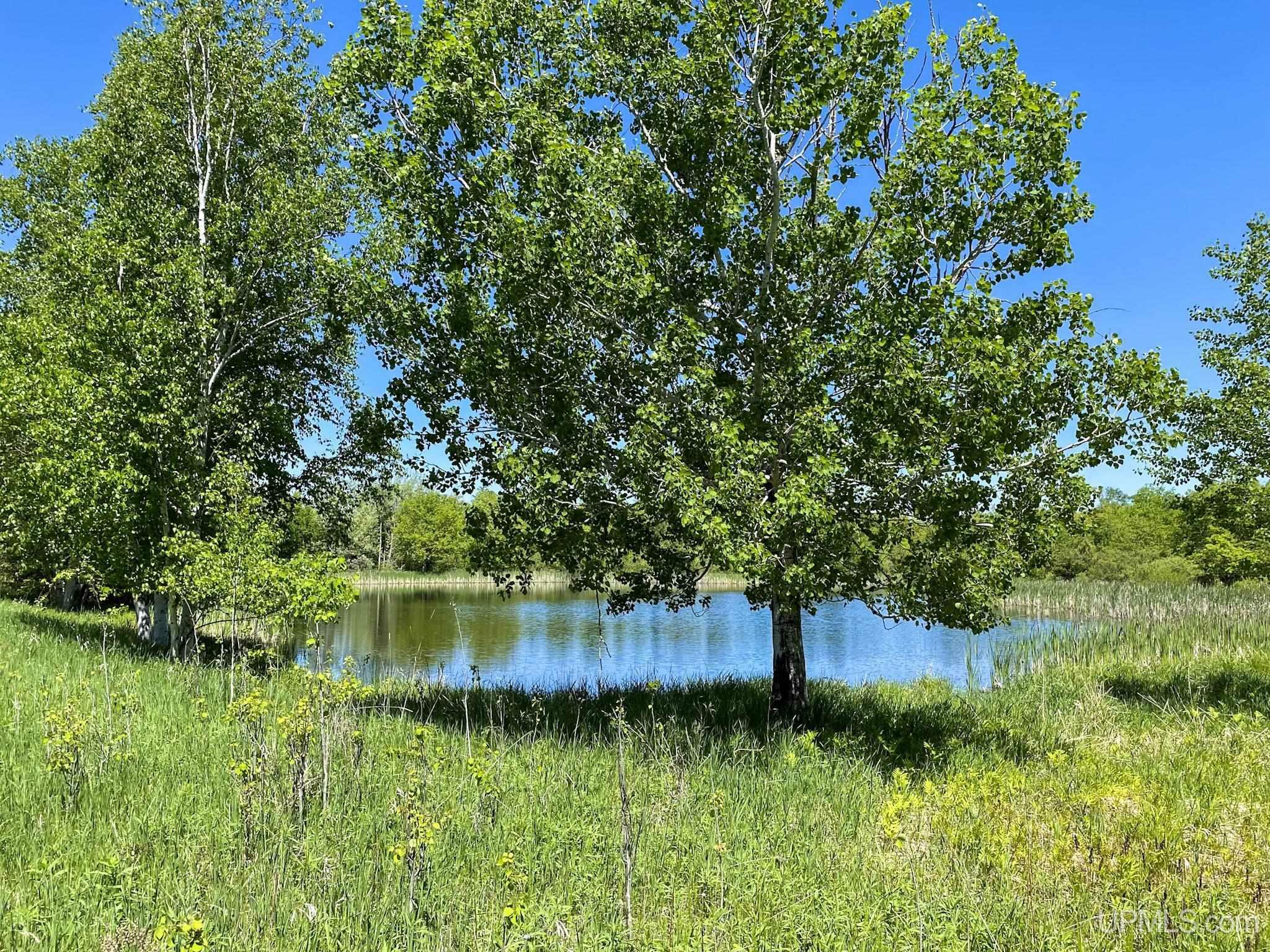 Property Photo:  16835 Skanee Road  MI 49946 