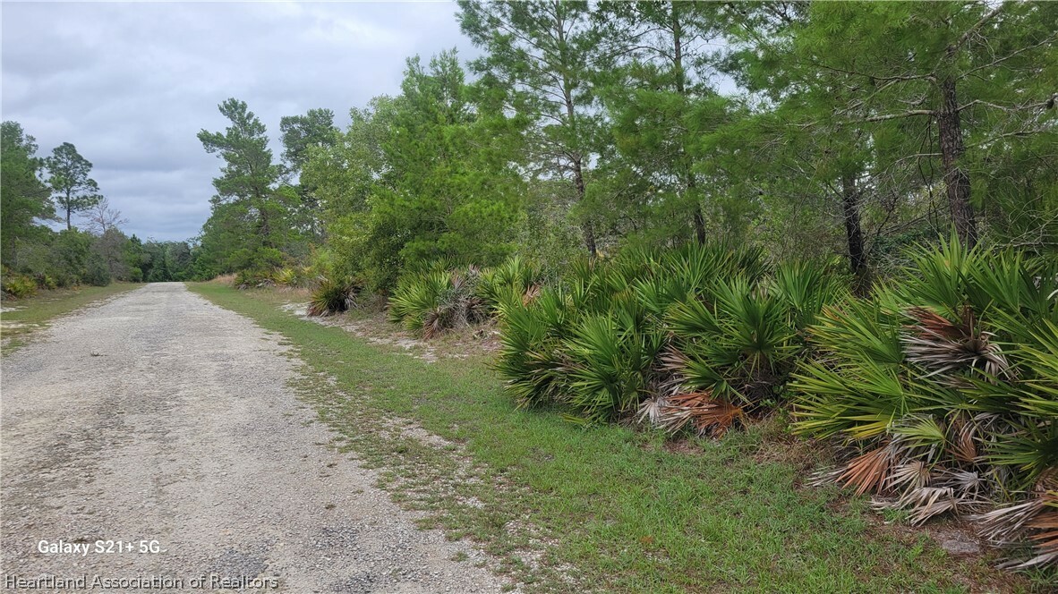 Property Photo:  Lot 10 Blk 57 Ailcanthus Street  FL 33852 