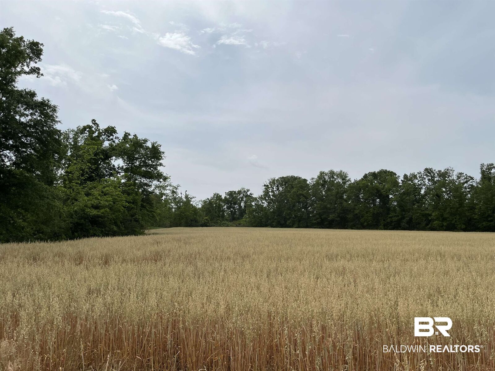 Property Photo:  0 S County Road 34  AL 36580 
