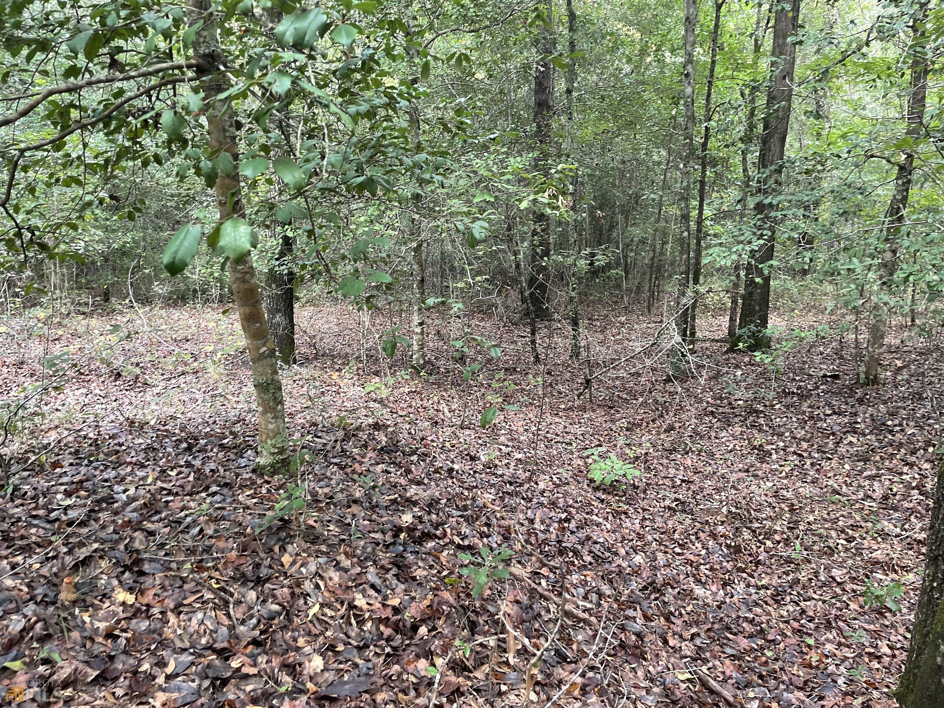 Property Photo:  0 Wild Turkey Drive  GA 30810 