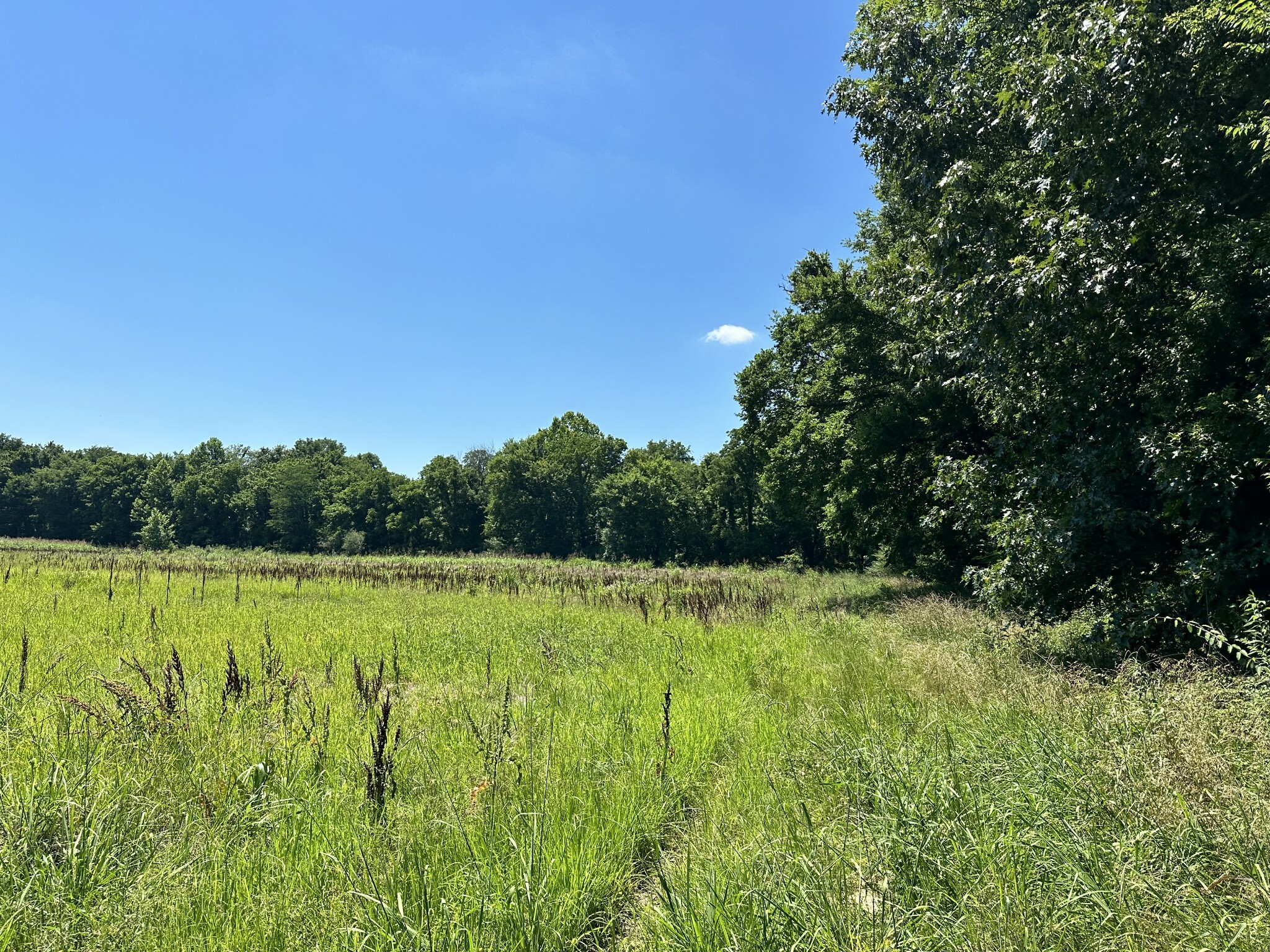 Property Photo:  0 Cedar Creek Road  TN 37096 