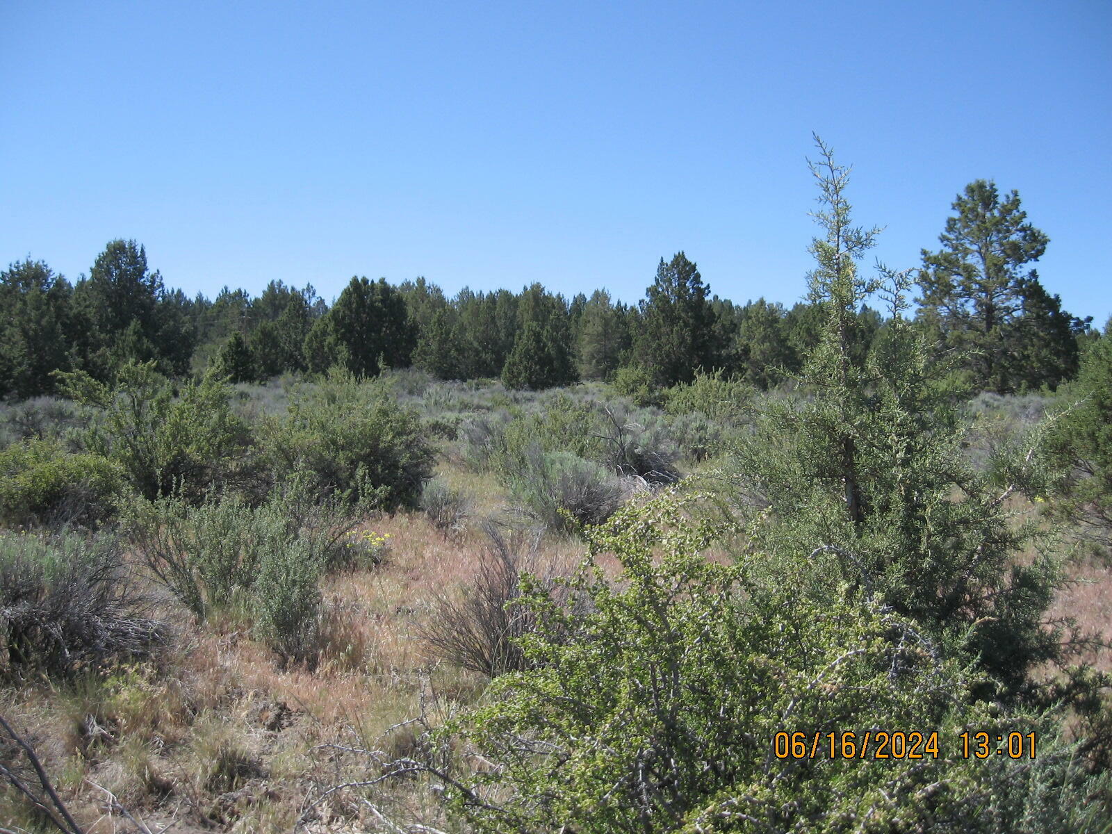 Property Photo:  Drews Road Lot 3  OR 97639 