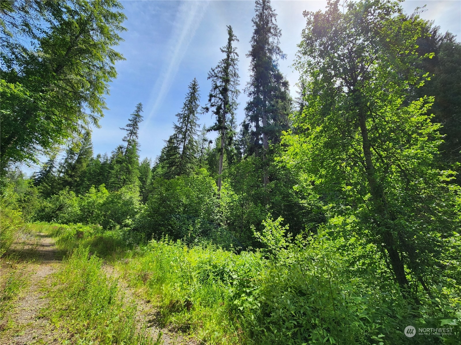 Property Photo:  0 Tbd Well Creek Road  WA 99140 