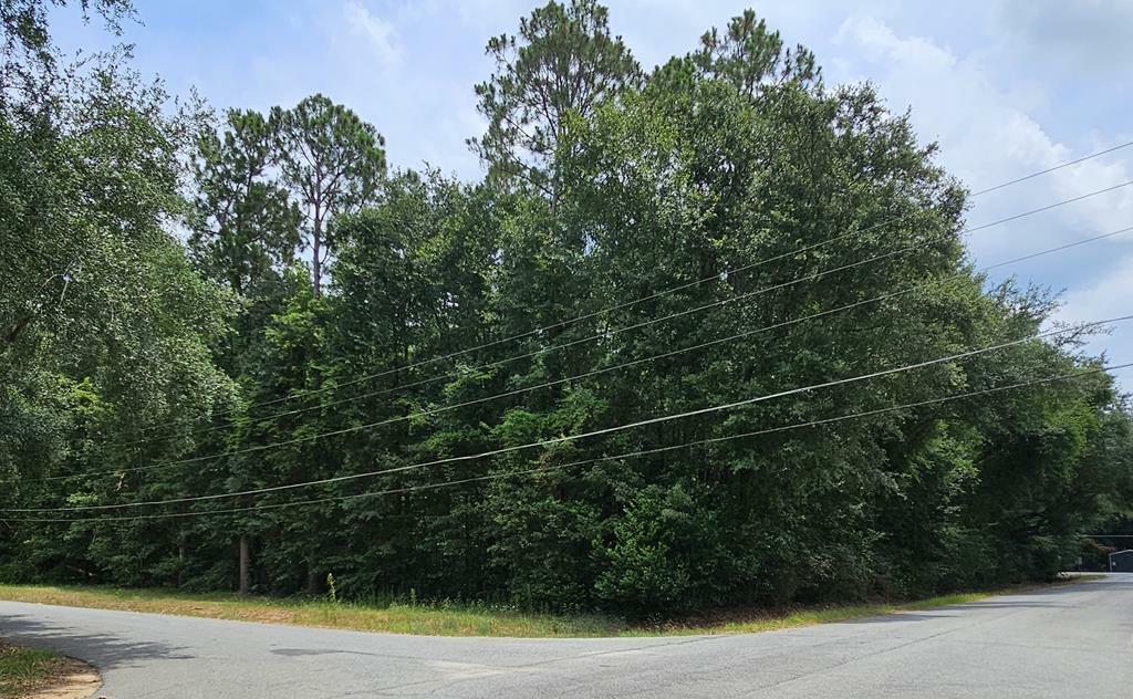 Property Photo:  00 Pine Bluff Rd  GA 31705 