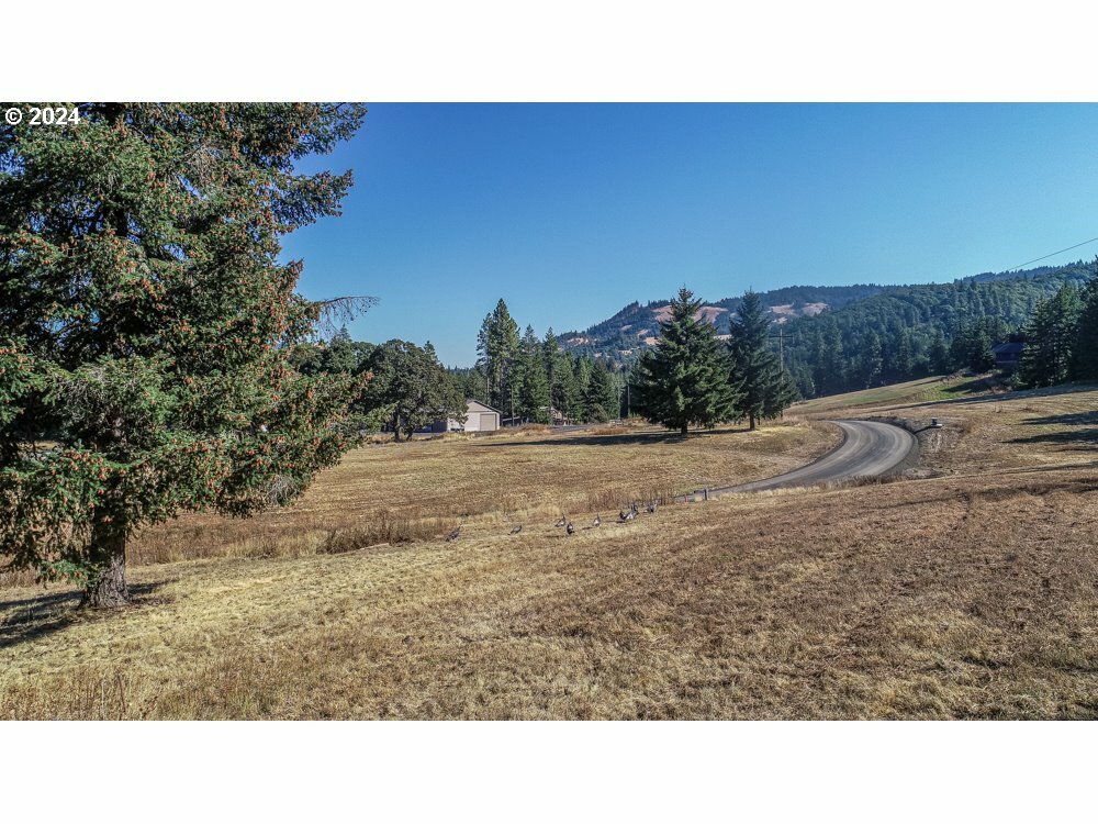 Property Photo:  Lot 16 Husum Greens  WA 98672 