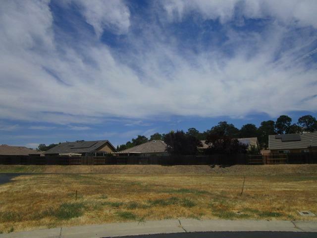 Property Photo:  138 Gold Creek Court  CA 95252 